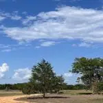 C and C's Land Services