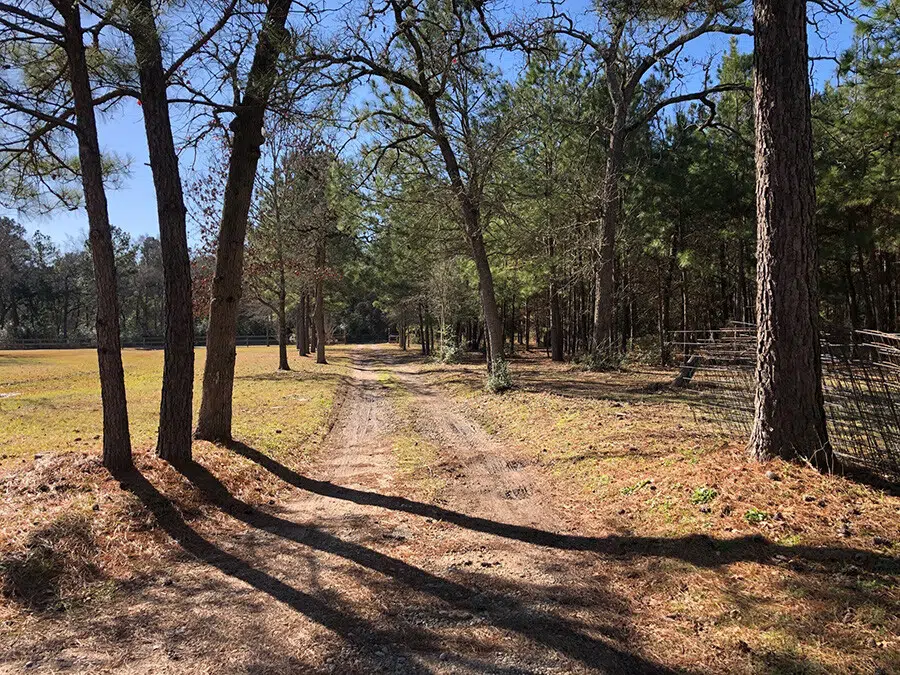 Dirt Road Clean up