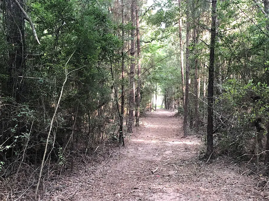 Underbrush Clearing & Forestry Mulching