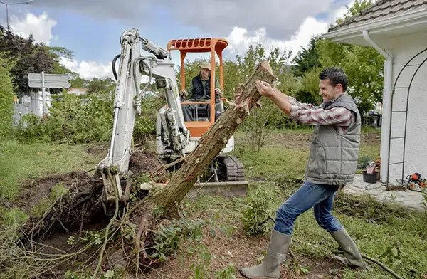 Tree trimming and Removal Service